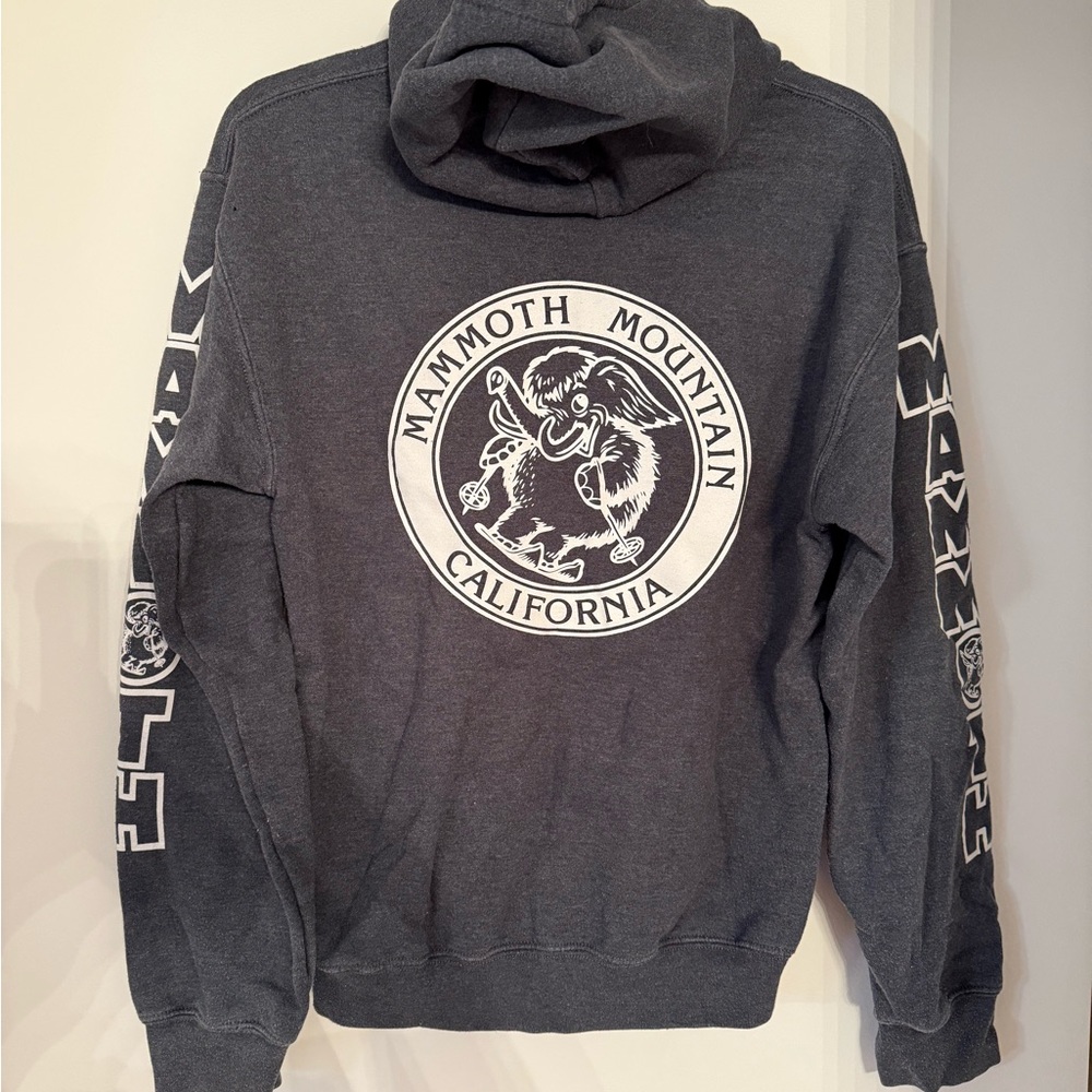 Gray Hoodie